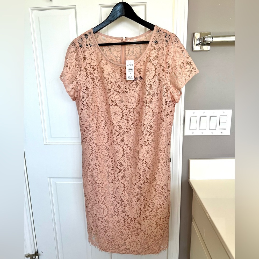 NWT Ann Taylor Loft Eyelash Lace Pink Sheath Dress Mini Above Knee - Picture 2 of 6
